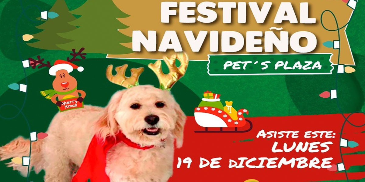 Festival-Navideño-Banner-2022