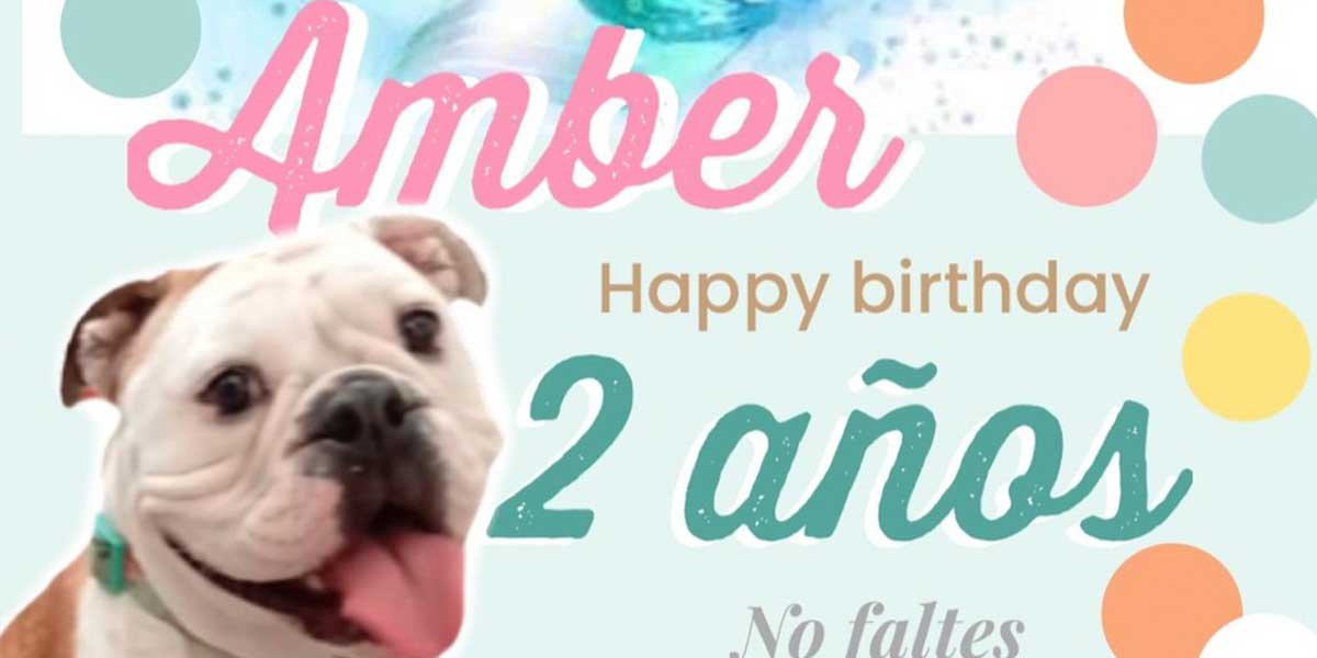 Amber-2-años