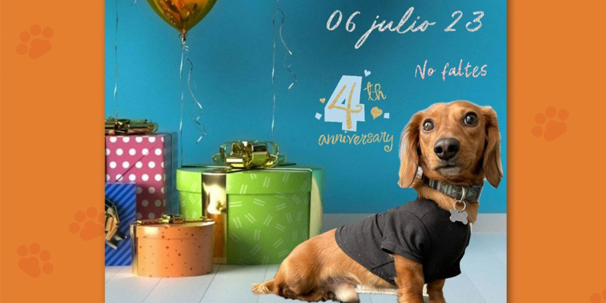 Lio-4-Años