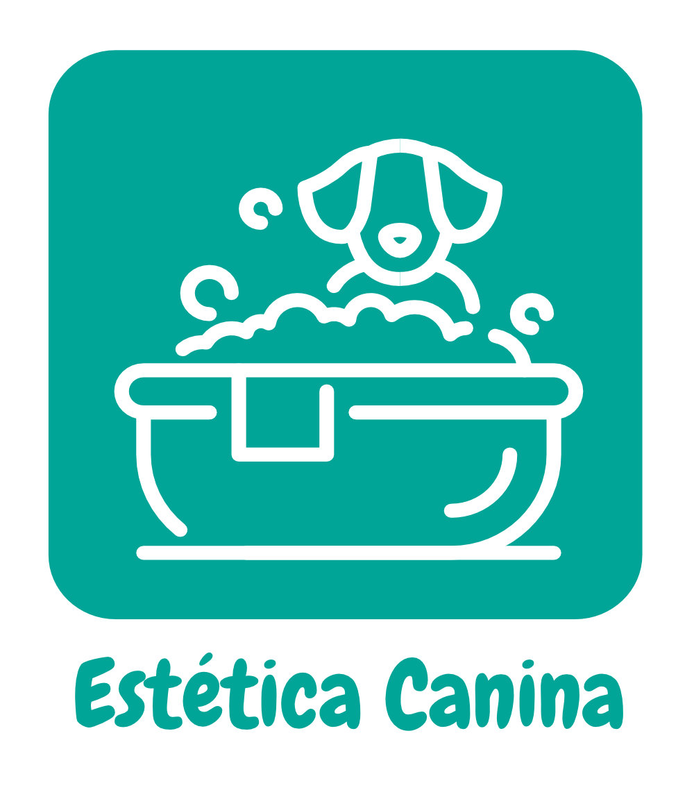 estetica-canina